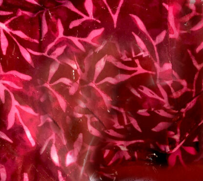A close up of leaves in red and pink